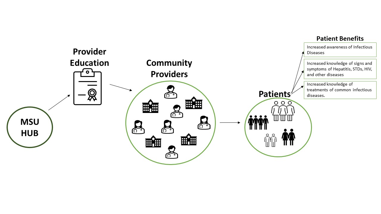 Diagram showing the following: MSU Hub < Provider Education < Community Providers < Patient < Patient benefits