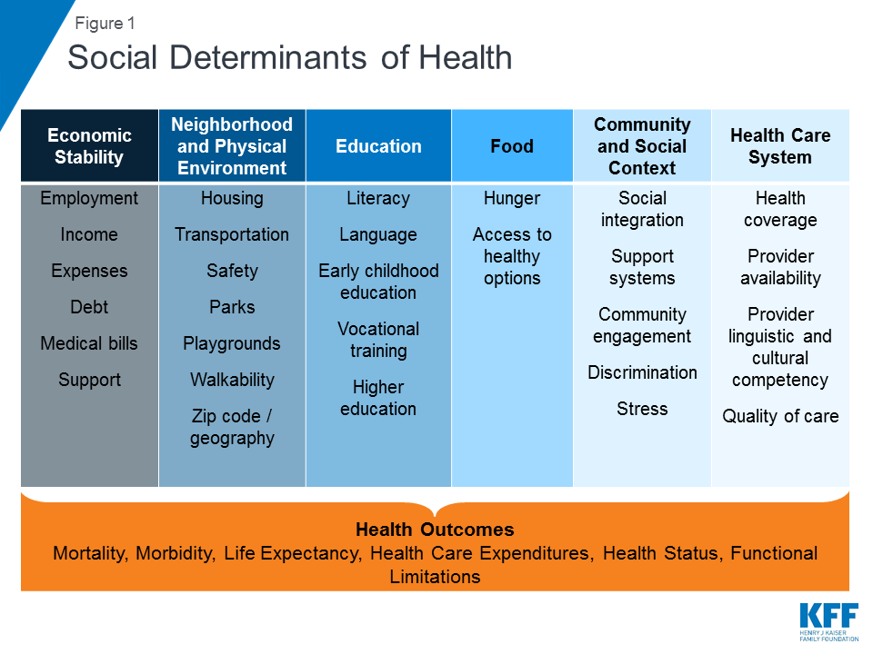 Table outlining aspects of the social determinants of health 