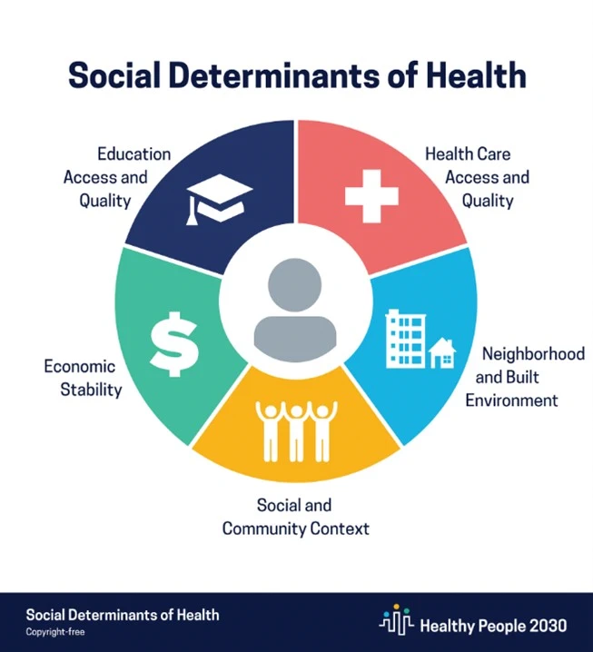 graphic of the different areas of the social determinants of health
